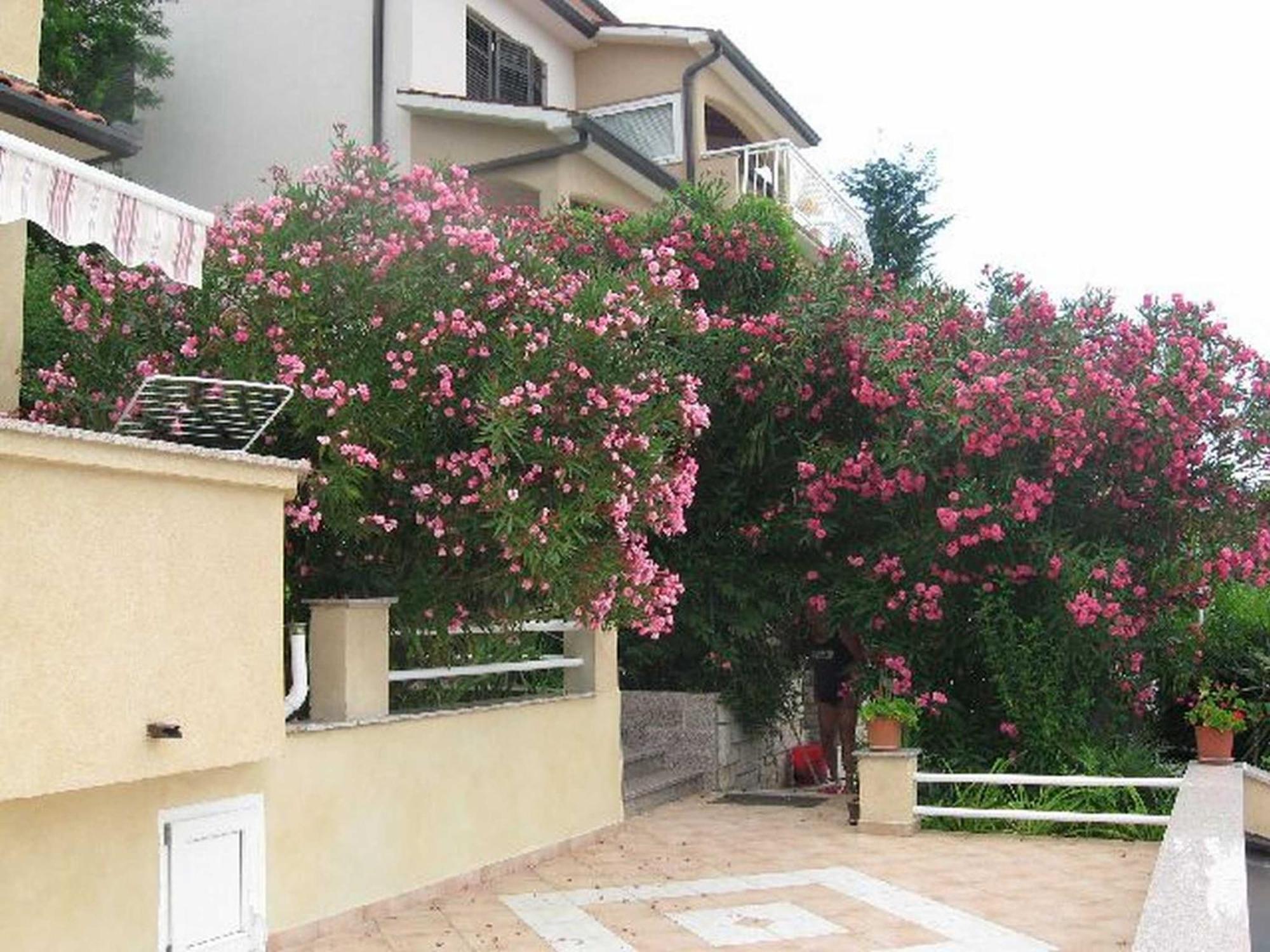 Apartments Silmare Rabac Ngoại thất bức ảnh