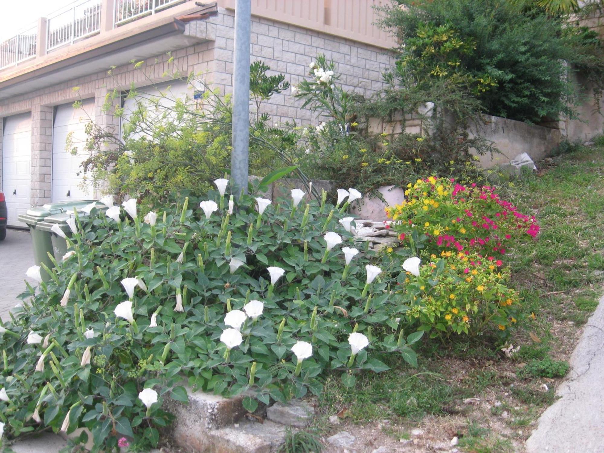 Apartments Silmare Rabac Phòng bức ảnh